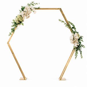 Gold Hexagon Arch